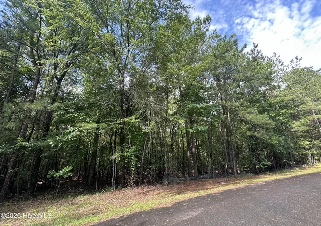 Photo 3 of Land for sale at B15 L26 Blair Ln, Mc Cormick, SC 29835 | MLS# 100589935 | Listing updated on 2026-08-18