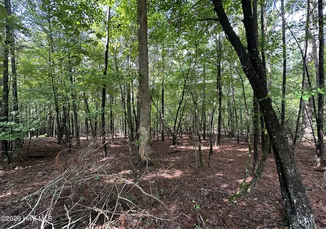 Photo 3 of Land for sale at B15 L26 Blair Ln, Mc Cormick, SC 29835 | MLS# 100589935 | Listing updated on 2026-08-18