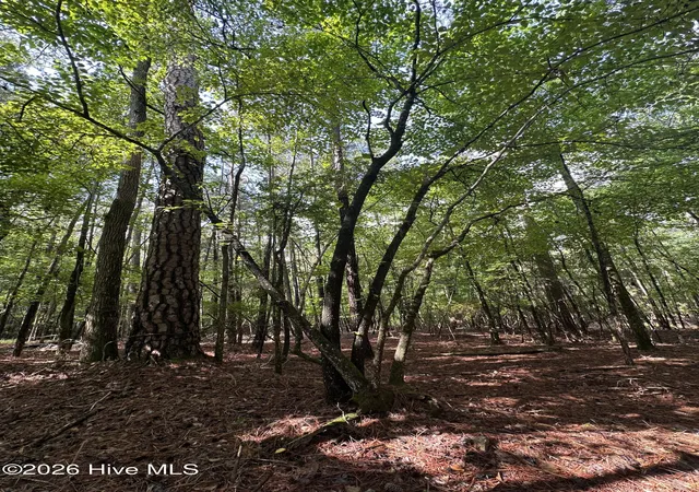 Photo 4 of Land for sale at B15 L26 Blair Ln, Mc Cormick, SC 29835 | MLS# 100589935 | Listing updated on 2026-08-18
