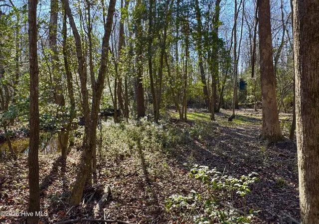 Photo 3 of Land for sale at 0 Fred Cir S, Kenly, NC 27542 | MLS# 100593719 | Listing updated on 2026-08-18