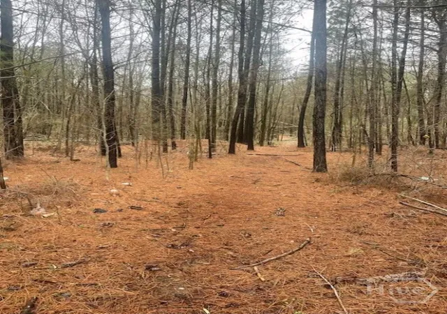 2nd image of 4000 Danielsville Rd, Athens, GA 30601 | MLS# CL350068