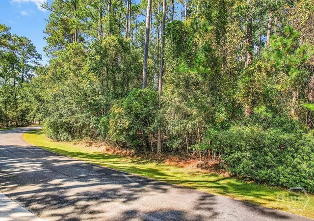 Photo 3 of Land for sale at 0 Sapelo Cir NE, Townsend, GA 31331 | MLS# SA342517 | Listing updated on 2026-07-07