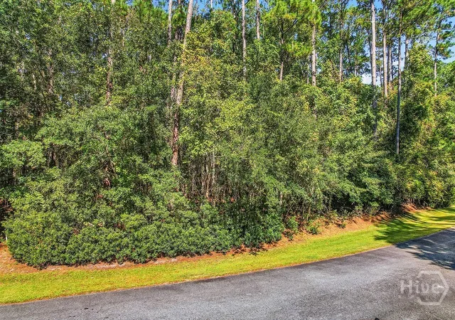 Photo 4 of Land for sale at 0 Sapelo Cir NE, Townsend, GA 31331 | MLS# SA342517 | Listing updated on 2026-07-07