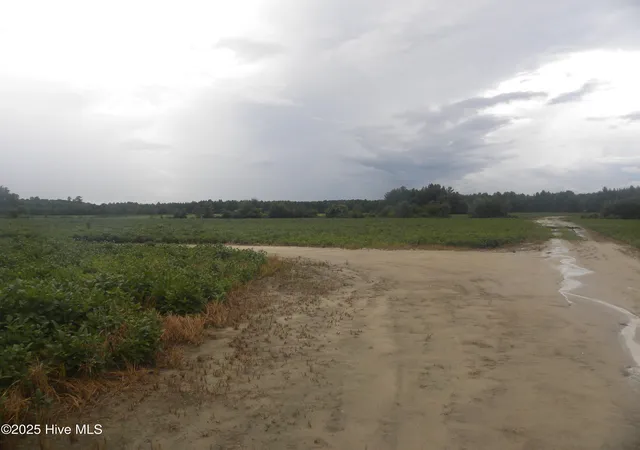 3rd image of Tbd Conetoe Rd, Greenville, NC 27834 | MLS# 100561640