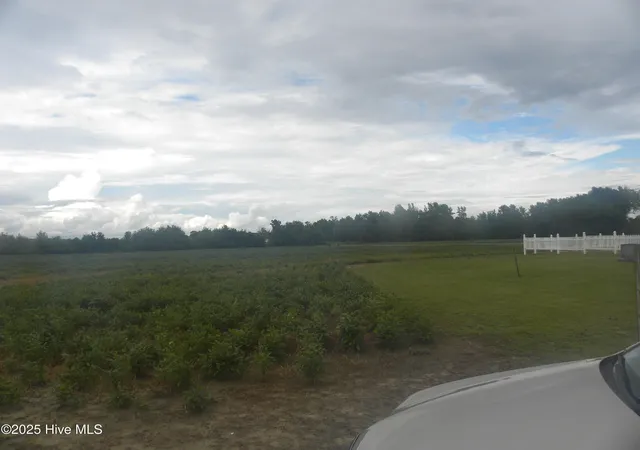 4th image of Tbd Conetoe Rd, Greenville, NC 27834 | MLS# 100561640