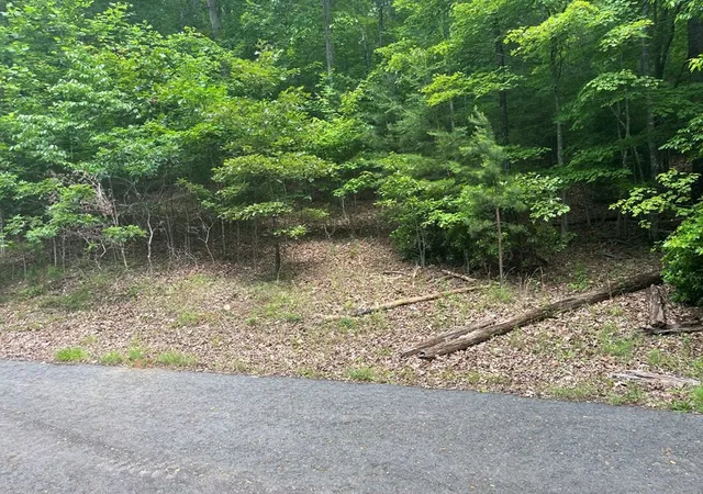 Photo 3 of Land for sale at Lot 63 Cirrus Dr, Murphy, NC 28906 | MLS# 98543356 | Listing updated on 2026-06-02