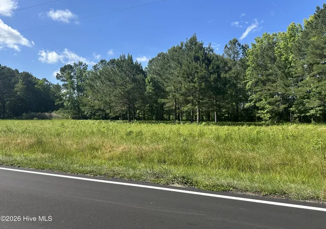 2nd image of Near 594 Big Cypress Rd, Nakina, NC 28455 | MLS# 100575269