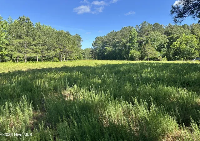 3rd image of Near 594 Big Cypress Rd, Nakina, NC 28455 | MLS# 100575269