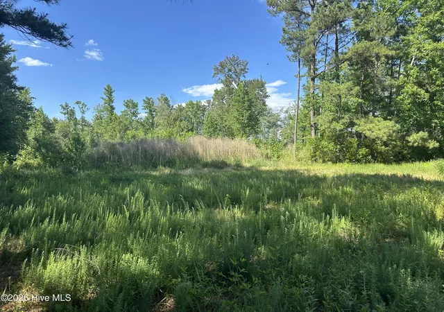 4th image of Near 594 Big Cypress Rd, Nakina, NC 28455 | MLS# 100575269