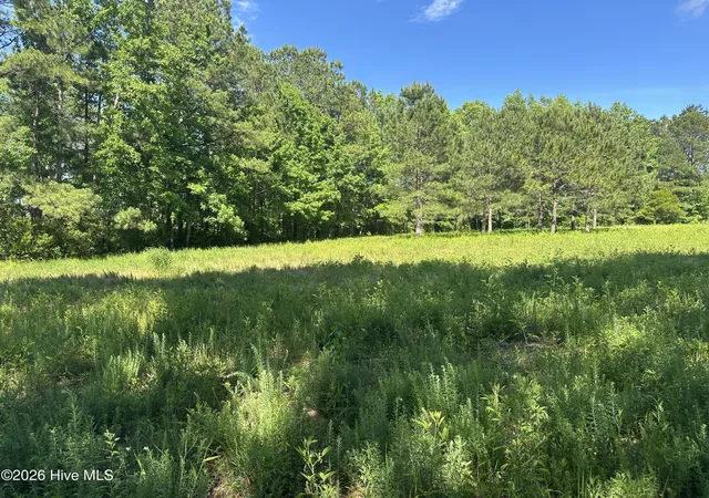 5th image of Near 594 Big Cypress Rd, Nakina, NC 28455 | MLS# 100575269