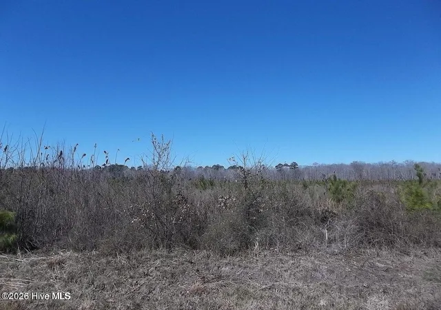 Photo 2 of Land for sale at Tbd Boat Ramp Rd, New Hope, NC 27944 | MLS# 100593957 | Listing updated on 2026-08-18