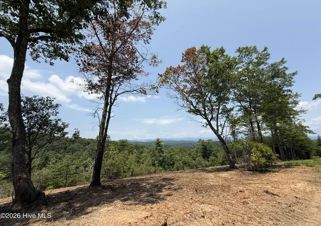 Photo 3 of Land for sale at 7 Avalon Crst St, Murphy, NC 28906 | MLS# 100596885 | Listing updated on 2026-08-18