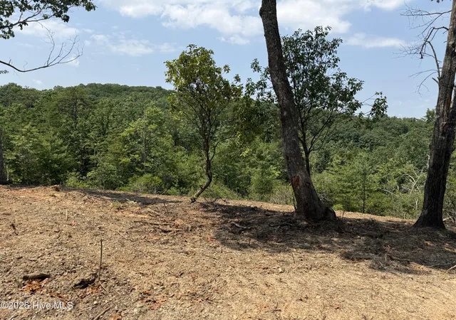 Photo 5 of Land for sale at 7 Avalon Crst St, Murphy, NC 28906 | MLS# 100596885 | Listing updated on 2026-08-18