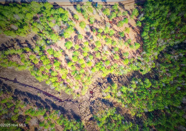 Photo 3 of Land for sale at 203 Paradox Point Dr, Aurora, NC 27806 | MLS# 100594328 | Listing updated on 2026-08-18