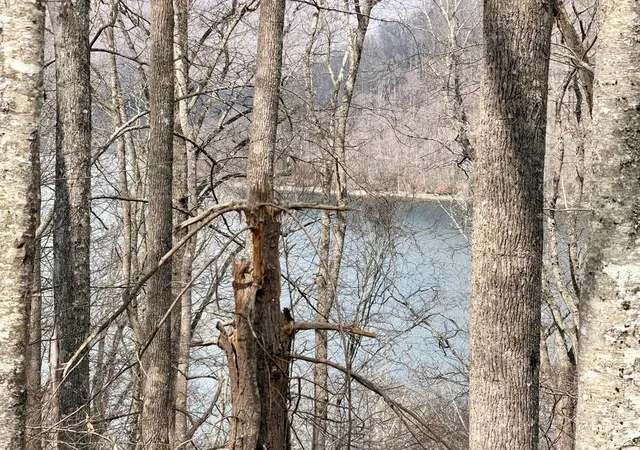 Photo 3 of Land for sale at Lot #12 Lake Vista Cir, Topton, NC 28781 | MLS# 98500294 | Listing updated on 2026-07-14