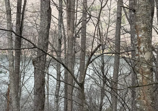 Photo 4 of Land for sale at Lot #12 Lake Vista Cir, Topton, NC 28781 | MLS# 98500294 | Listing updated on 2026-07-14