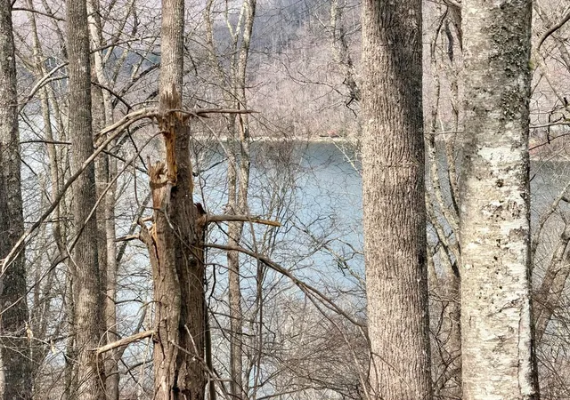 Photo 5 of Land for sale at Lot #12 Lake Vista Cir, Topton, NC 28781 | MLS# 98500294 | Listing updated on 2026-07-14