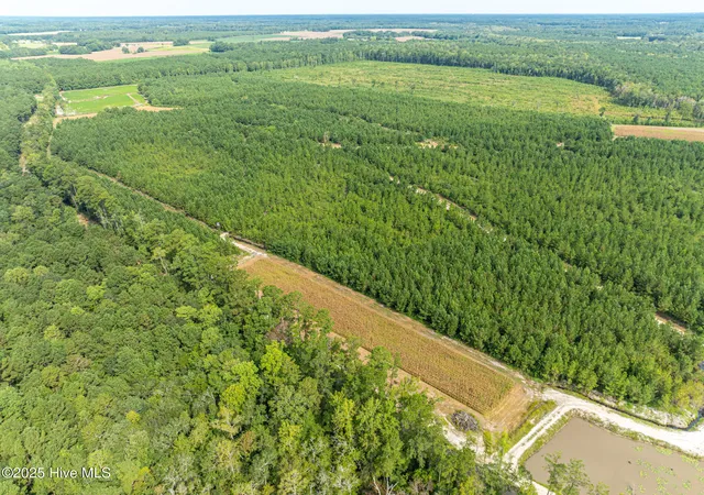 3rd image of 000 Butler Town Rd, Clarendon, NC 28432 | MLS# 100529531