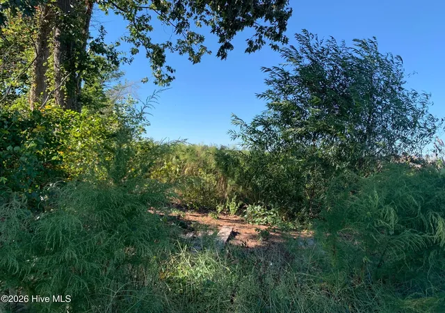 Photo 1 of Land for sale at Tbd Hendrix Ln, Windsor, NC 27983 | MLS# 100572786 | Listing updated on 2026-05-12