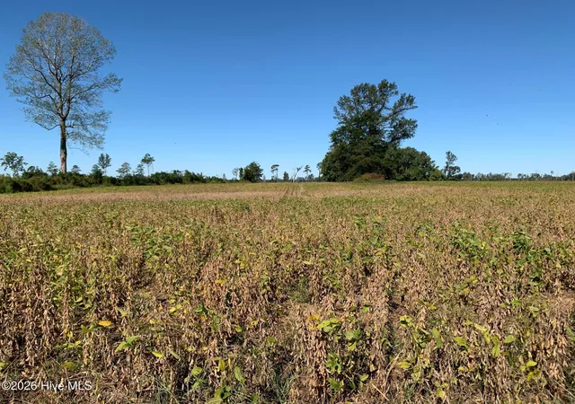 Photo 3 of Land for sale at Tbd Hendrix Ln, Windsor, NC 27983 | MLS# 100572786 | Listing updated on 2026-05-12
