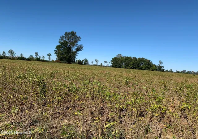 Photo 3 of Land for sale at Tbd Hendrix Ln, Windsor, NC 27983 | MLS# 100572786 | Listing updated on 2026-05-12