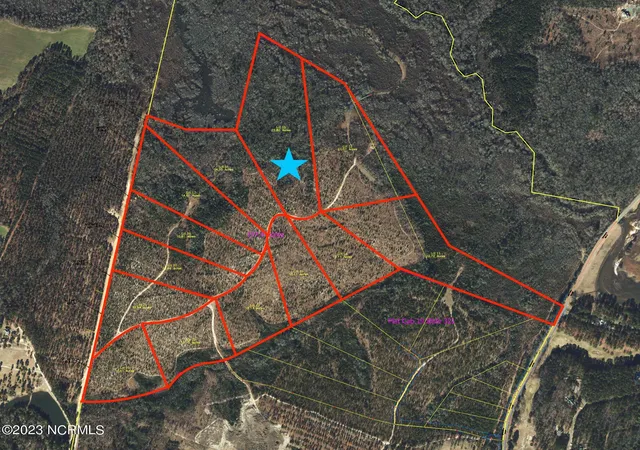 Photo 1 of Land for sale at 605 Fortis Farm Rd, Vass, NC 28394 | MLS# 100397711 | Listing updated on 2026-03-02