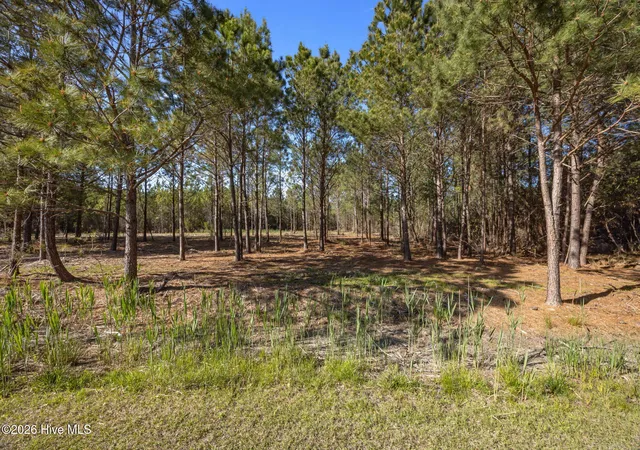 Photo 3 of Land for sale at 11 E Diamond Shl Ln, Vandemere, NC 28587 | MLS# 100565574 | Listing updated on 2026-08-25