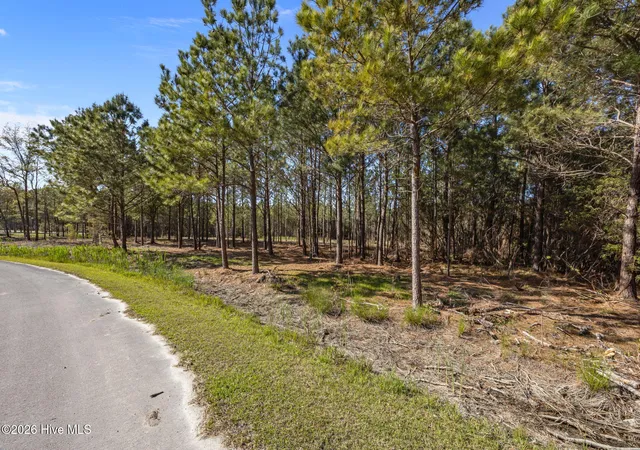 Photo 3 of Land for sale at 11 E Diamond Shl Ln, Vandemere, NC 28587 | MLS# 100565574 | Listing updated on 2026-08-25