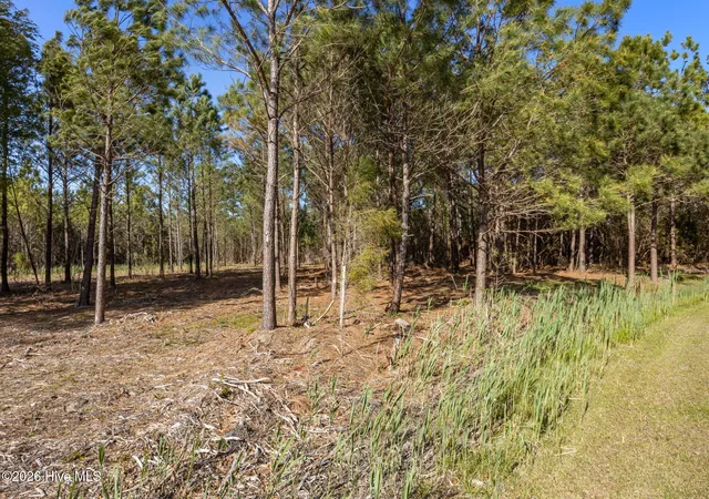 Photo 4 of Land for sale at 11 E Diamond Shl Ln, Vandemere, NC 28587 | MLS# 100565574 | Listing updated on 2026-08-25