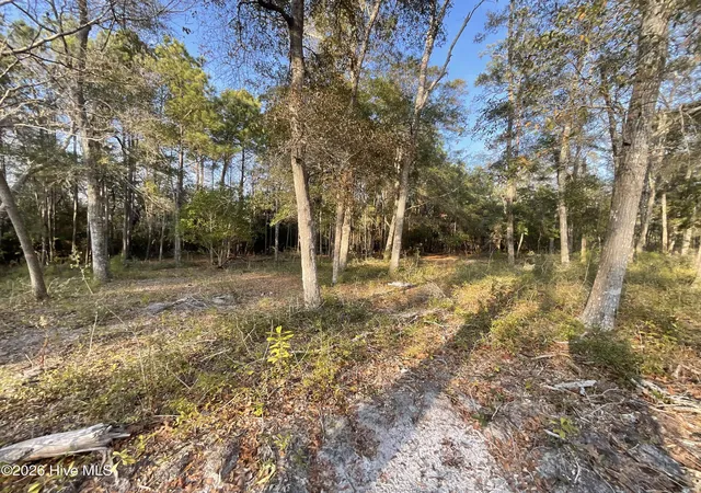 Photo 3 of Single family home for sale at 3372 Stone Crab Ct SW, Supply, NC 28462 | MLS# 100533098 | Listing updated on 2026-08-18