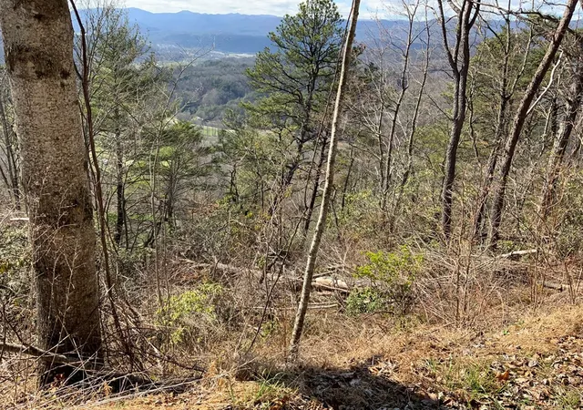 4th image of Lot 22 Laramie Hts, Andrews, NC 28901 | MLS# 98544545