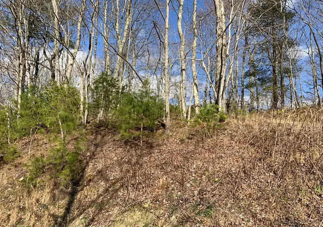 5th image of Lot 22 Laramie Hts, Andrews, NC 28901 | MLS# 98544545