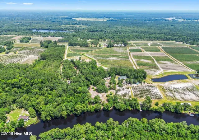 Photo 3 of Land for sale at 354 Murray Turner Farm Rd, Burgaw, NC 28425 | MLS# 100588741 | Listing updated on 2026-07-14