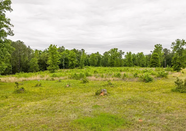 Photo 3 of Land for sale at 3776 Mt Zion Church Rd, Lincolnton, GA 30817 | MLS# 98257140 | Listing updated on 2026-08-18