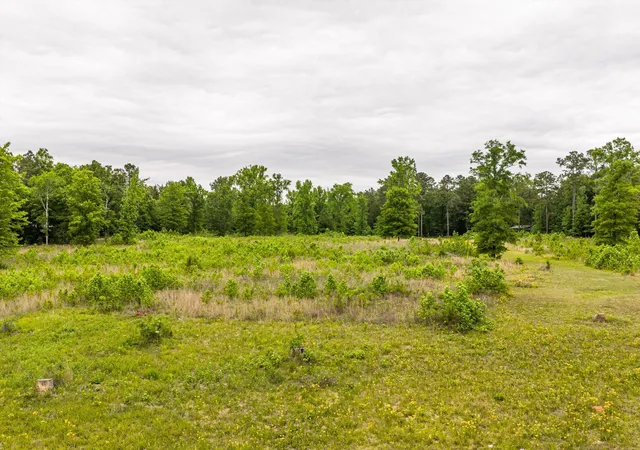 Photo 3 of House for sale at 3776 Mt Zion Church Rd, Lincolnton, GA 30817 | MLS# 98257140 | Listing updated on 2026-08-18