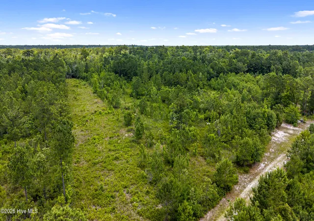 Photo 3 of Land for sale at 0 Tbd 110 Acres American Way Rd, Rocky Point, NC 28457 | MLS# 100584611 | Listing updated on 2026-06-26