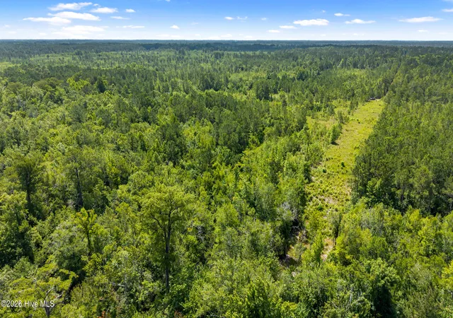 Photo 3 of Land for sale at 0 Tbd 110 Acres American Way Rd, Rocky Point, NC 28457 | MLS# 100584611 | Listing updated on 2026-06-26