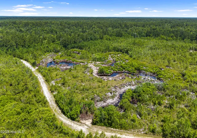 Photo 4 of Land for sale at 0 Tbd 110 Acres American Way Rd, Rocky Point, NC 28457 | MLS# 100584611 | Listing updated on 2026-06-26