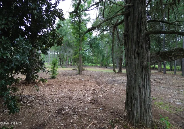 Photo 3 of Land for sale at Tbd/lot 2 Elmore, Laurinburg, NC 28352 | MLS# 100599982 | Listing updated on 2026-08-31