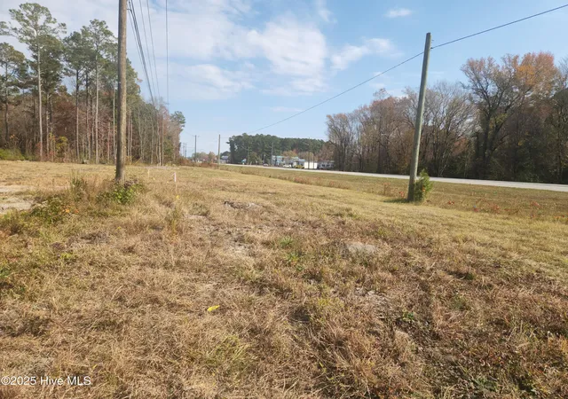 5th image of 12 Acres Dr Mlk Jr Blvd, New Bern, NC 28562 | MLS# 100572228