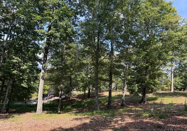 Homes for sale in Brasstown, NC | 0 Madison Ln, Brasstown, NC 28902 | MLS# 98524867