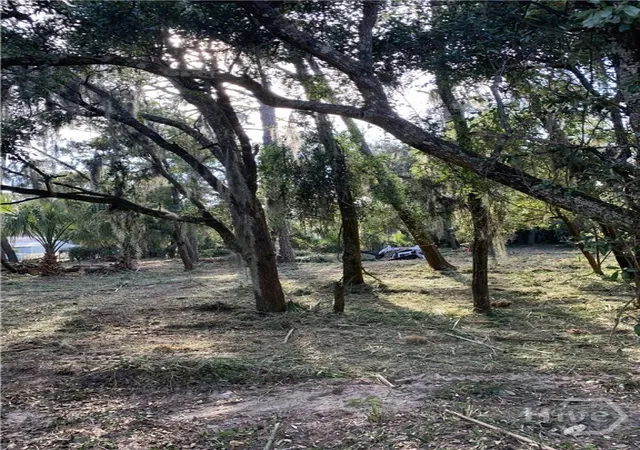 Homes for sale in Tybee Island, GA | 0 Mckenzie Ave, Tybee Island, GA 31328 | MLS# SA356630