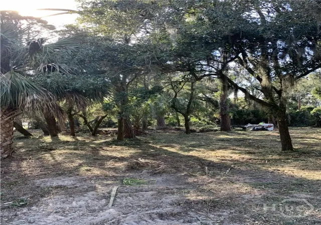 Homes for sale in Tybee Island, GA | 0 Mckenzie Ave, Tybee Island, GA 31328 | MLS# SA356630