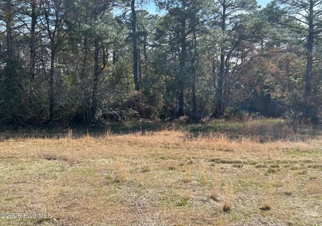 3rd image of 1609 Caracara Dr, New Bern, NC 28560 | MLS# 100561483