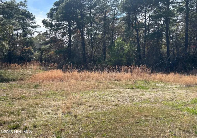 4th image of 1609 Caracara Dr, New Bern, NC 28560 | MLS# 100561483