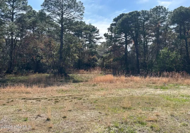 5th image of 1609 Caracara Dr, New Bern, NC 28560 | MLS# 100561483