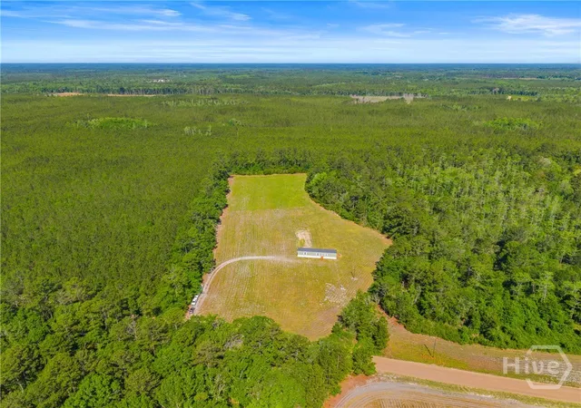 Homes for sale in Pembroke, GA | 3383 Mill Branch Club Rd, Pembroke, GA 31321 | MLS# SA355797