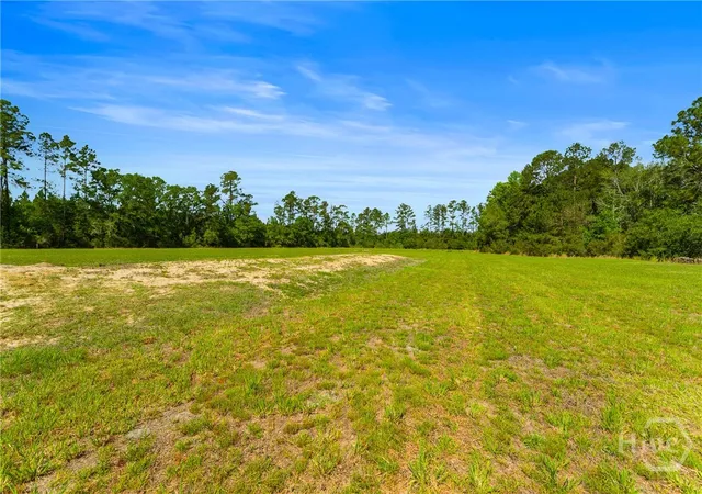 Homes for sale in Pembroke, GA | 3383 Mill Branch Club Rd, Pembroke, GA 31321 | MLS# SA355797