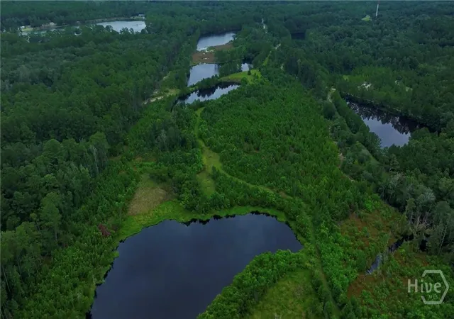 Photo 2 of Land for sale at 0 Fort Argyle Rd, Savannah, GA 31419 | MLS# SA348154 | Listing updated on 2026-07-08