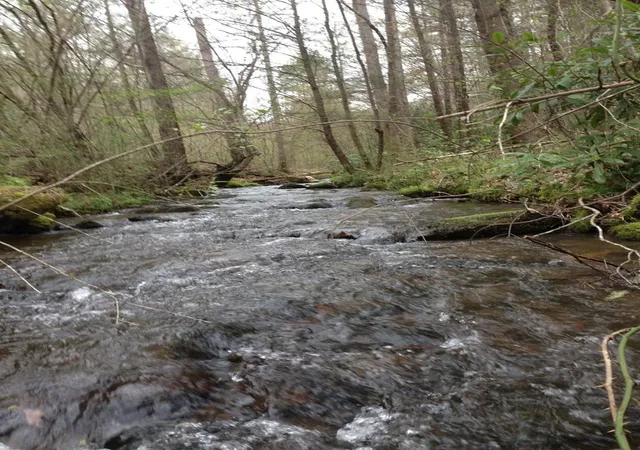 Photo 1 of Land for sale at 55 Greasey Creek Rd, Murphy, NC 28906 | MLS# 98543660 | Listing updated on 2026-06-01